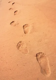 海滩的脚印图片 海滩的脚印图片