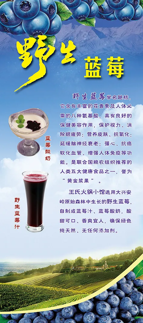 蓝莓(1890X4252(DPI:60))psd模版下载