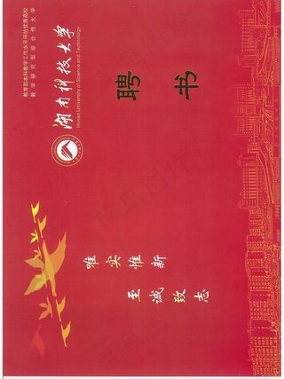 奖状 荣誉证书