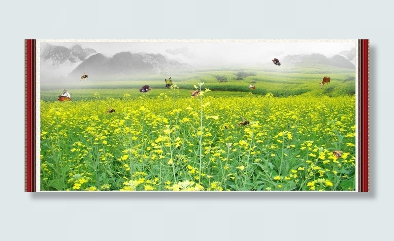 油菜花 风景画图片