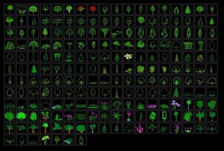 CAD植物立面图例大全