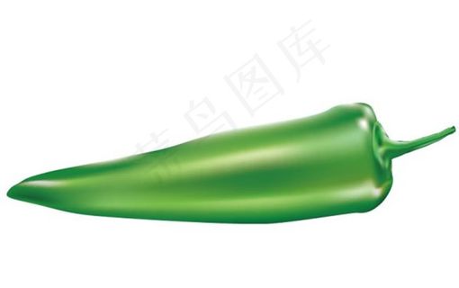 绿色辣椒矢量图 AI
