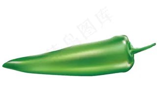 绿色辣椒矢量图 AI