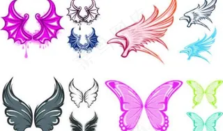 各种翅膀图片