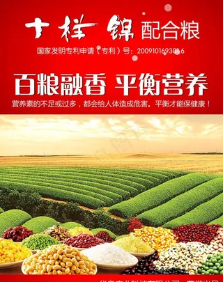 粮食宣传 海报图片