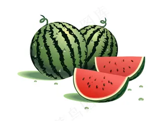 西瓜矢量素材