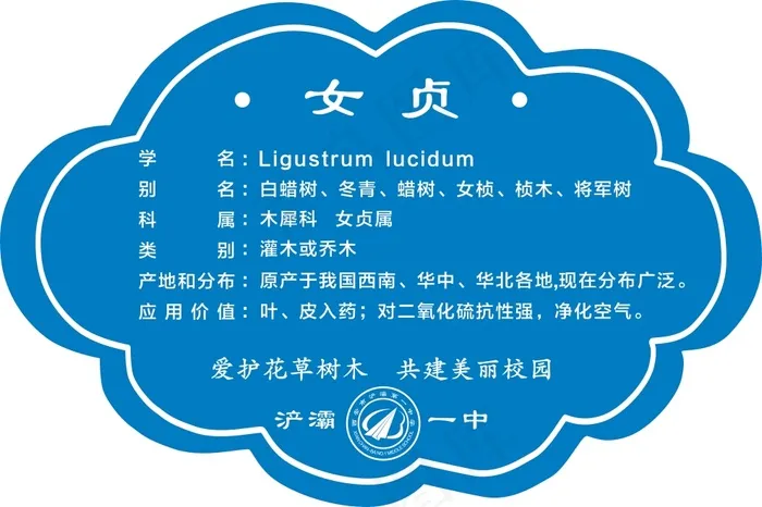 女贞cdr矢量模版下载