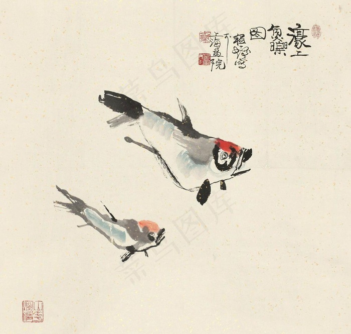 鱼乐图图片