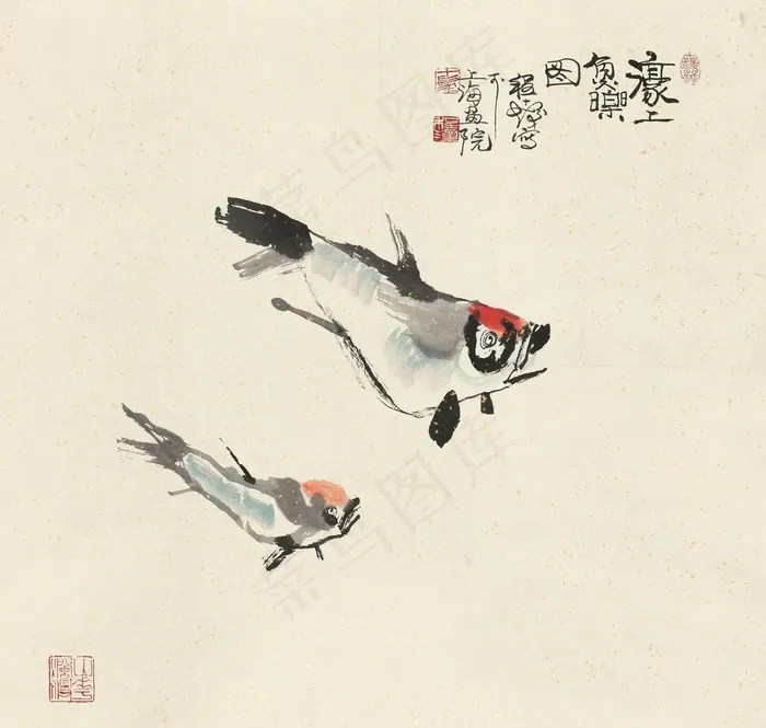 鱼乐图图片