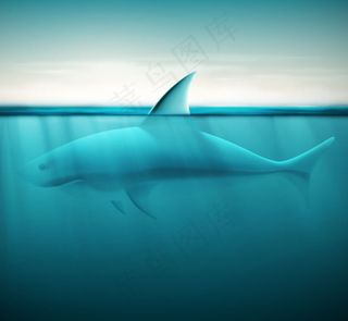 海洋鲨鱼设计矢量素材