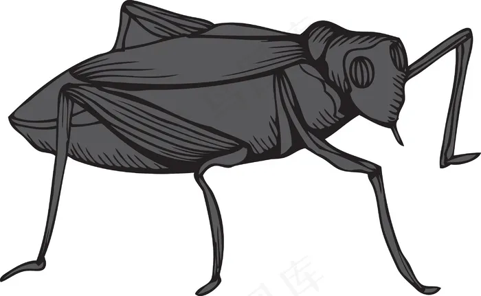 媒介昆虫eps,ai矢量模版下载
