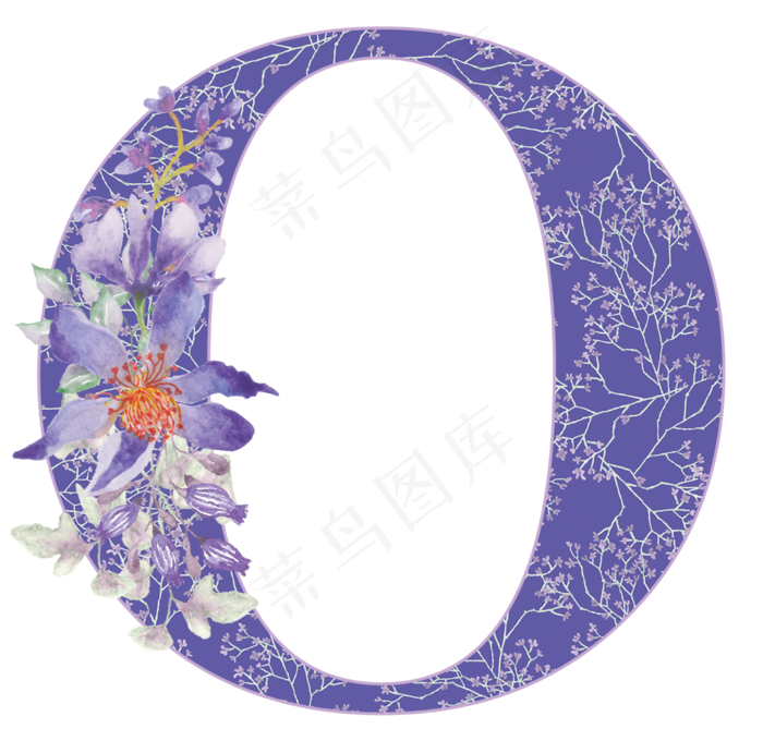 字母o