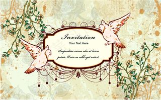 花树对鸟装饰的精美边框背景图片