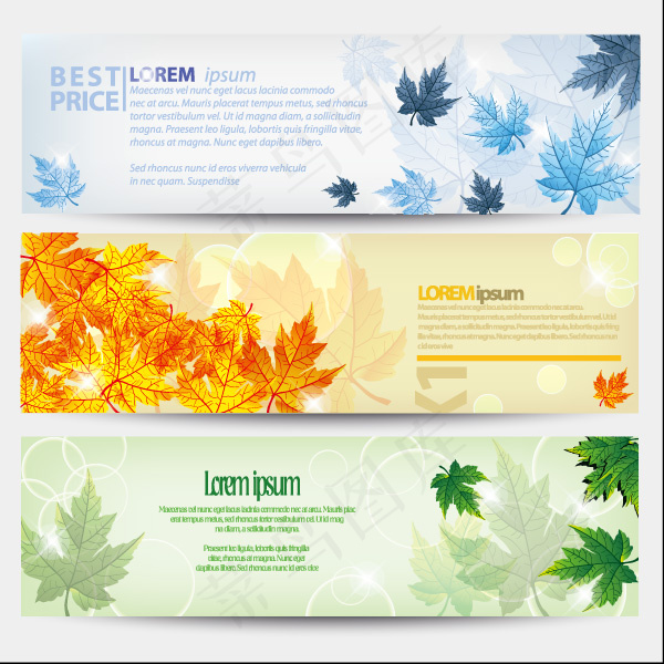 矢量素材动感枫叶树叶横幅背景