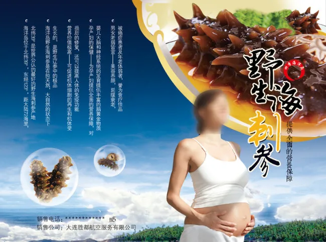 野生海参海报