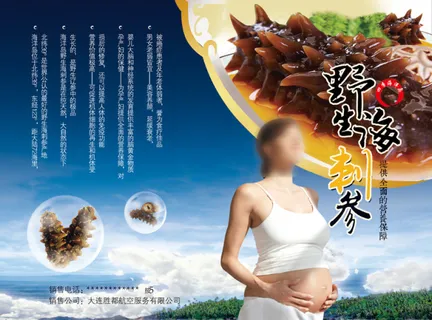 野生海参海报 野生海参海报