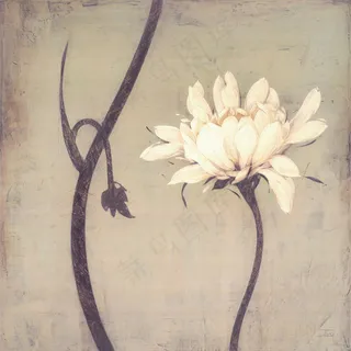 艺术玉兰花壁画