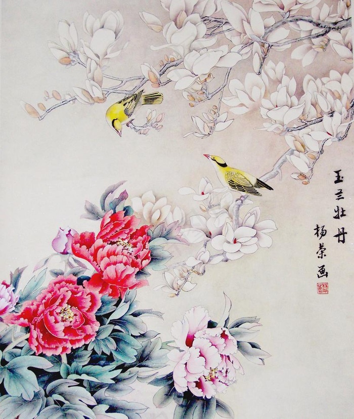 玉兰牡丹图片