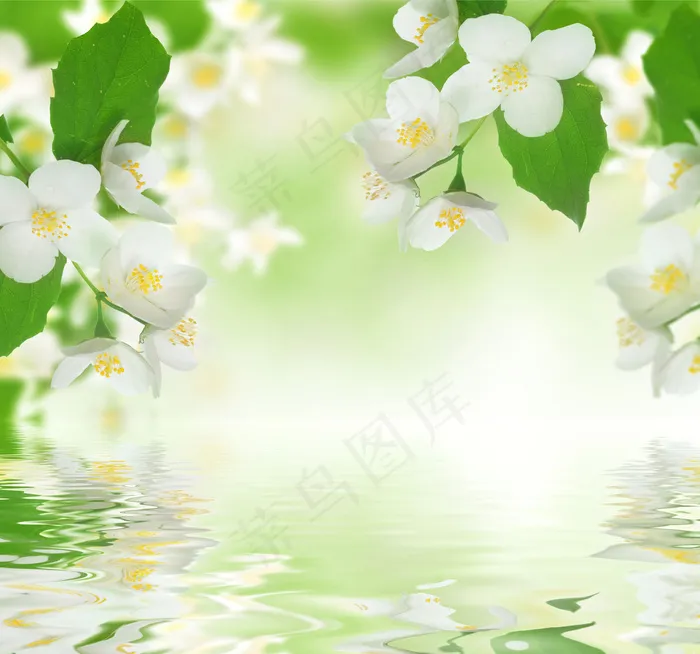 花水倒影清新背景