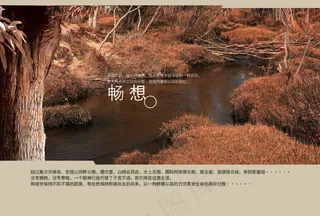 畅想山野公园报PSD地产海报