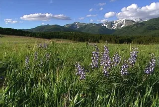 大自然素材下载