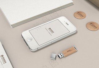 灰色手持简约商务名片VI样机袋子包装样机简约清新墙壁装饰画样