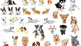 各种宠物狗矢量素材