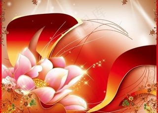 美丽的荷花图片