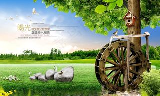 绿色风景 夏天图片