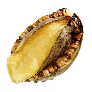 鲍鱼特色美食png透明海报素材