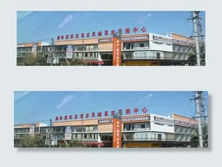 狮岭皮革城图片