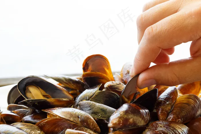 海鲜食材摄影