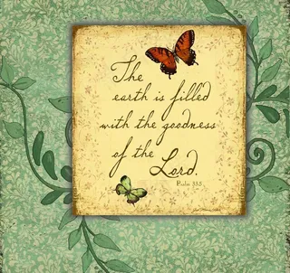 春天蝴蝶装饰画图片