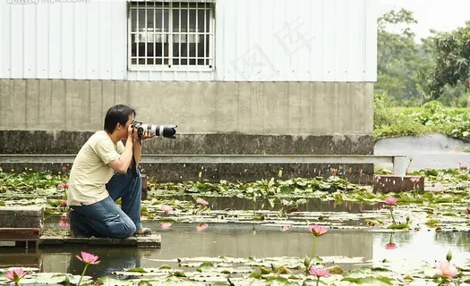 台南白河蓮花攝影图片