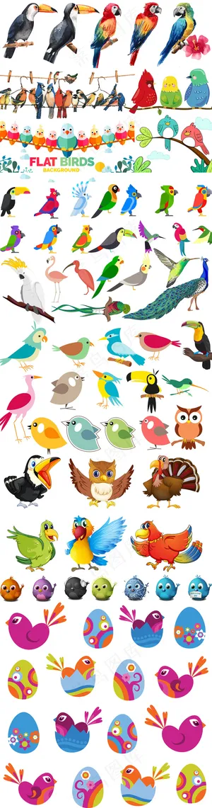 卡通鹦鹉动物鸟猫头鹰PNG素材鹦鹉...