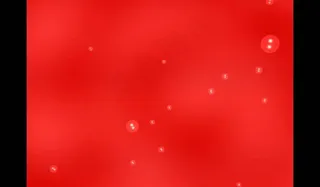 婚礼视频素材图片