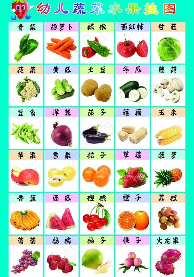 蔬菜水果挂图图片