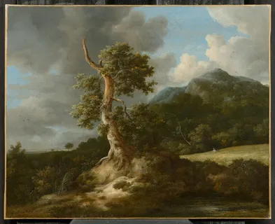 大树夜景 大树夜景