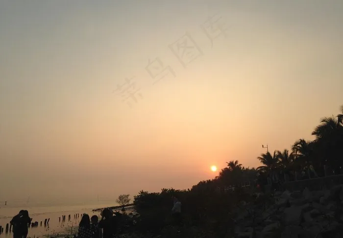 深圳红树林边的日落图片