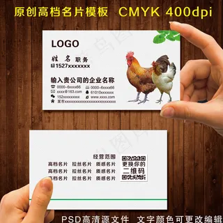 养鸡名片图片