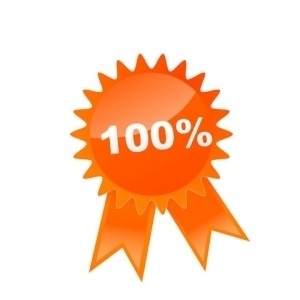 向量的折扣徽章