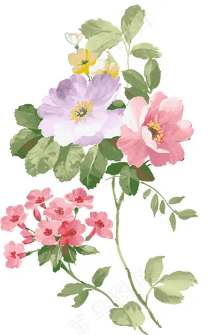手绘花卉图片