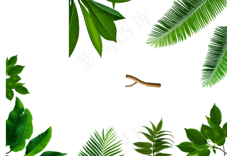 透明清新植物背景