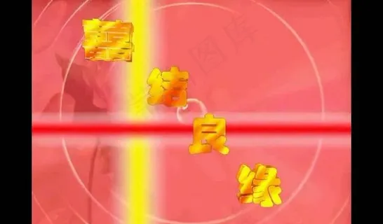 婚礼视频素材图片 婚礼视频素材图片