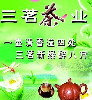 茶业图片