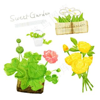 玫瑰花与花卉PSD素材