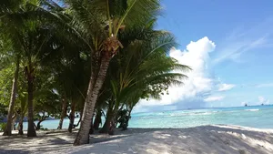 海滩风光图片