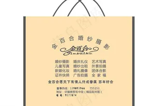 无纺布袋 影楼手提袋 手提袋图片