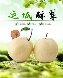 运城酥梨 海报 主图 设计 运城酥梨 海报 主图 设计