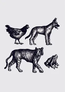 手绘动物简笔插画